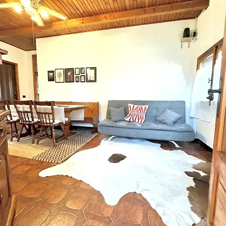 Casa Degli Albicocchi - Near Venice - Whole House With Garden And Free Prkg Holiday home Spinea