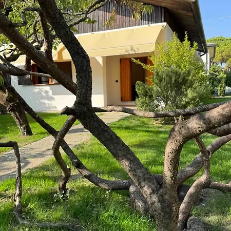 Casa Degli Albicocchi - Near Venice - Whole House With Garden And Free Prkg * Spinea