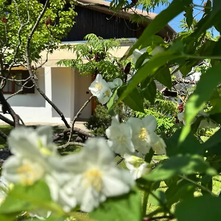 Casa Degli Albicocchi - Near Venice - Whole House With Garden And Free Prkg בית נופש